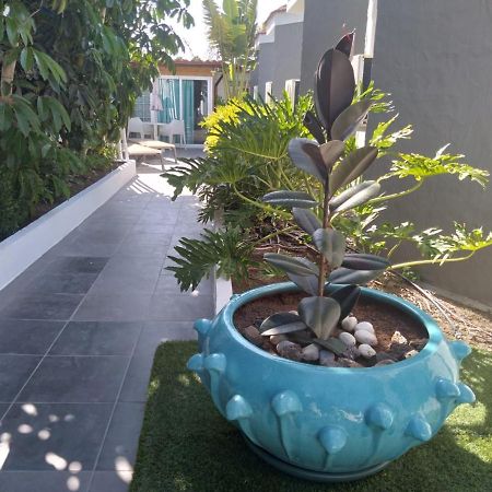 Starboys Gay Resort - Gay Men Only Maspalomas  Ngoại thất bức ảnh